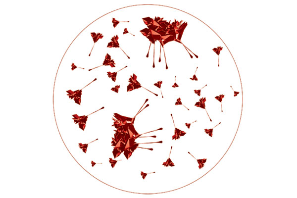 blood