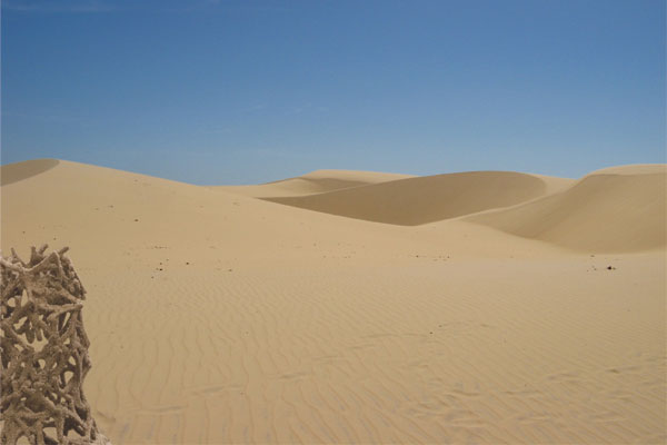 sandy